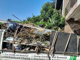 Best Commercial Junk Removal in Braham, MN